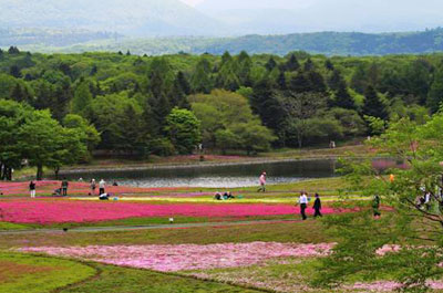 富士芝樱公园