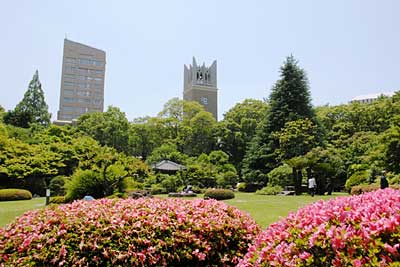 早稻田大学